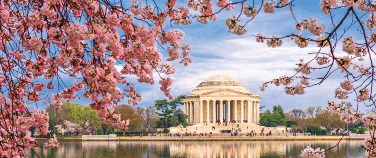 Banner para Conheça o melhor de Washington, D.C. 